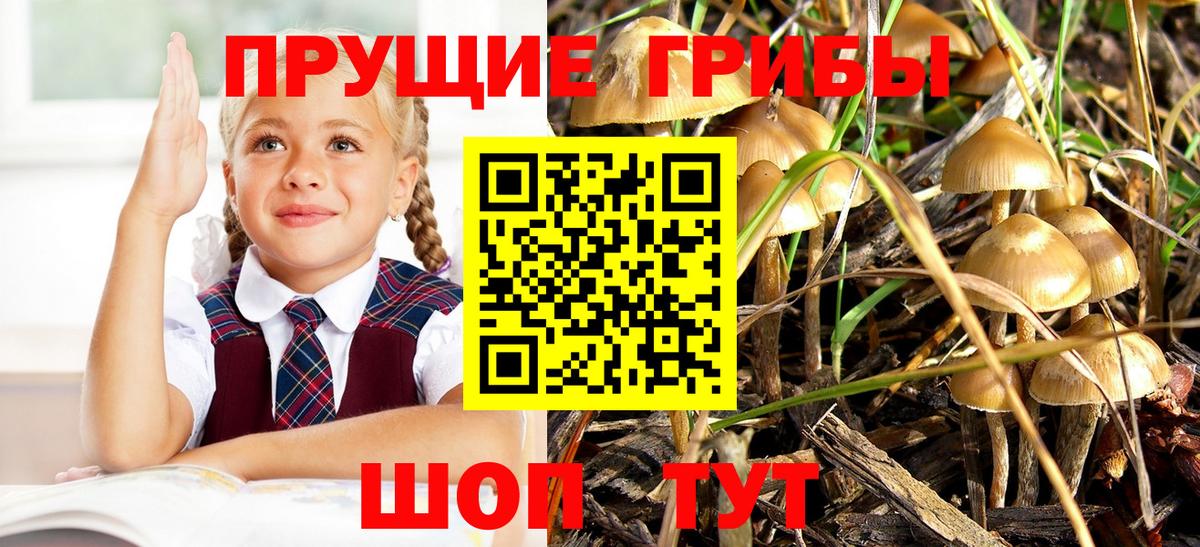 Псилоцибиновые грибы MAGIC MUSHROOMS  Псилоцибиновые грибы мицелий  Санкт-Петербург  Вход с VPN 