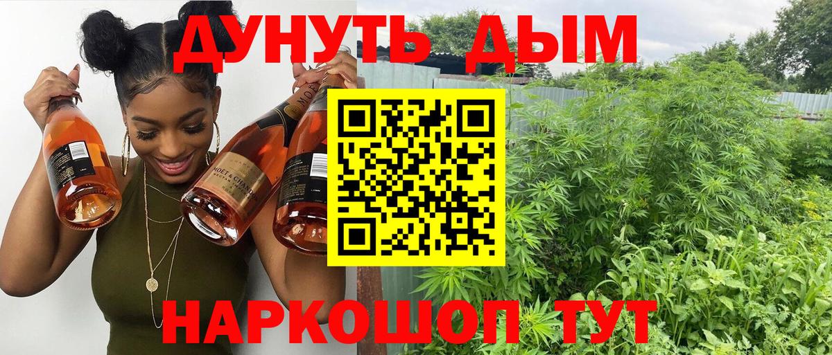 МАРИХУАНА сатива  Конопля марихуана  Вход с VPN  Санкт-Петербург  Канабис планчик  Шишки марихуана Ganja 
